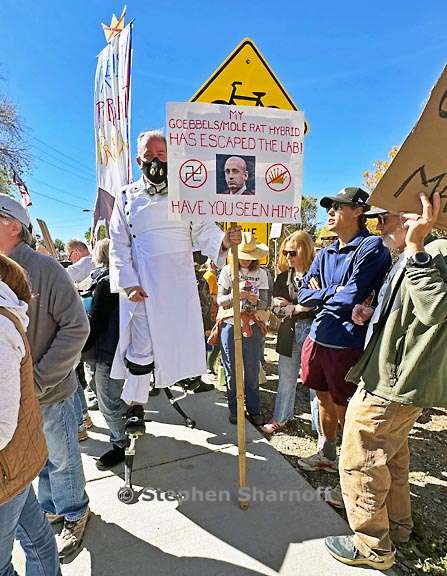 no kings taos 12 graphic